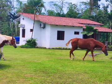 F30 - Venta Finca en Bucay San Rafael - quinta - hacienda - vendo