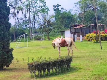 F30 - Venta Finca en Bucay San Rafael - quinta - hacienda - vendo