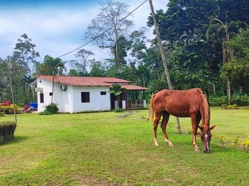 F30 - Venta Finca en Bucay San Rafael - quinta - hacienda - vendo