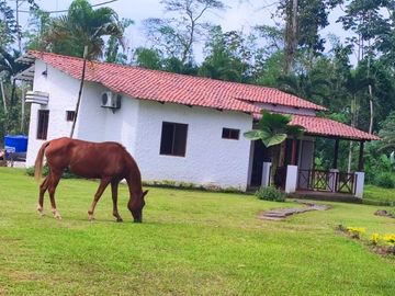 F30 - Venta Finca en Bucay San Rafael - quinta - hacienda - vendo