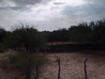 VENTA HECTAREAS EN CHEPES LA RIOJA