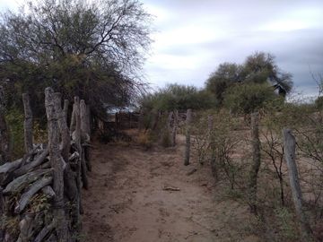 VENTA HECTAREAS EN CHEPES LA RIOJA