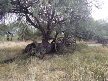 VENTA HECTAREAS EN CHEPES LA RIOJA
