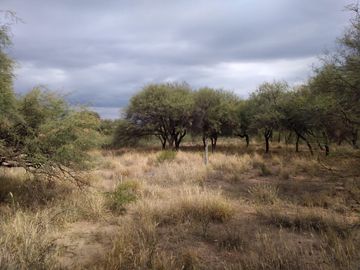 VENTA HECTAREAS EN CHEPES LA RIOJA