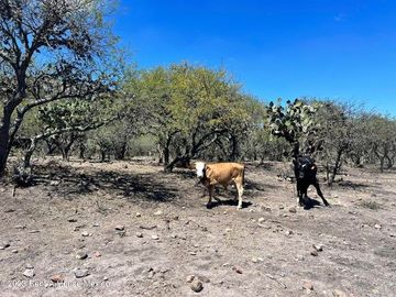 Rancho en venta entre San Miguel y Querétaro