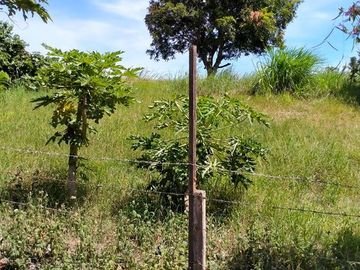 4,050 sqm Vacant Lot (2) for Sale at Tolentino, Tagaytay City