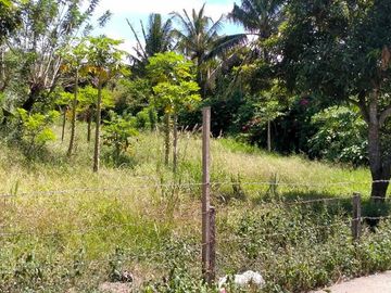 4,050 sqm Vacant Lot (2) for Sale at Tolentino, Tagaytay City