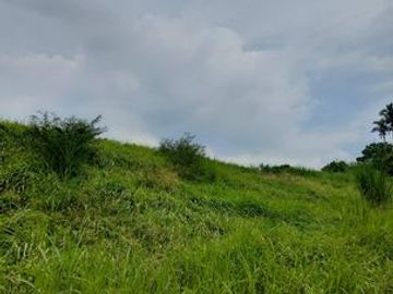 4,050 sqm Vacant Lot (2) for Sale at Tolentino, Tagaytay City