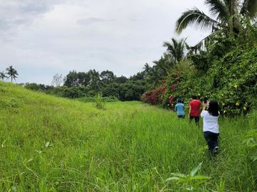 4,050 sqm Vacant Lot (2) for Sale at Tolentino, Tagaytay City