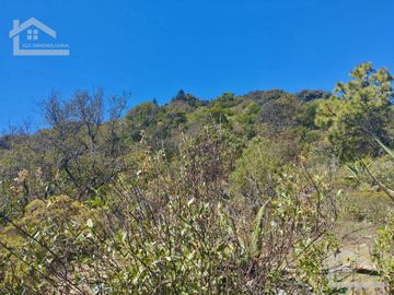 VENTA DE HERMOSO TERRENO EN BARRIO 