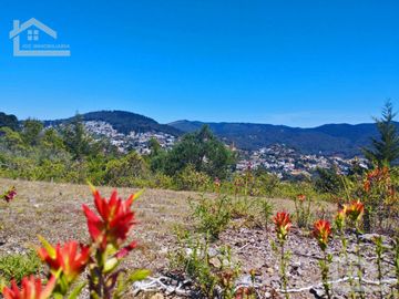 VENTA DE HERMOSO TERRENO EN BARRIO 