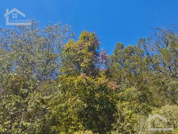 VENTA DE HERMOSO TERRENO EN BARRIO 