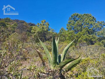 VENTA DE HERMOSO TERRENO EN BARRIO 