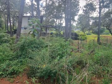 MAGNIFICO TERRENO EN VENTA, AVANDARO
