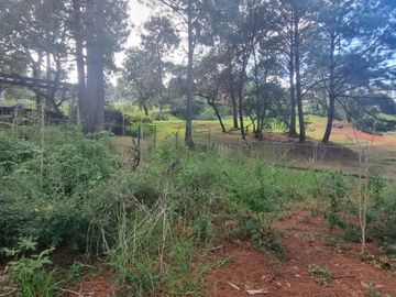 MAGNIFICO TERRENO EN VENTA, AVANDARO