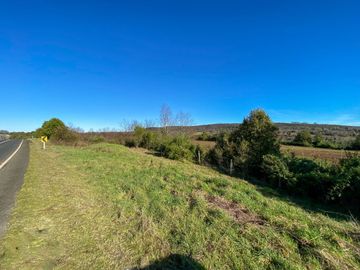 Campo en venta en Fresia - Santa María - 30 hectáreas