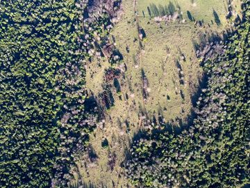 Campo en venta en Fresia - Santa María - 30 hectáreas