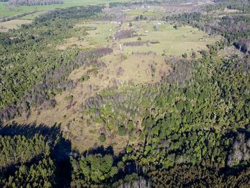 Campo en venta en Fresia - Santa María - 30 hectáreas