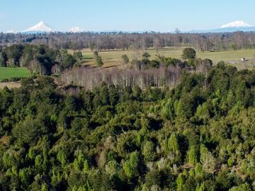 Campo en venta en Fresia - Santa María - 30 hectáreas