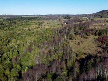 Campo en venta en Fresia - Santa María - 30 hectáreas
