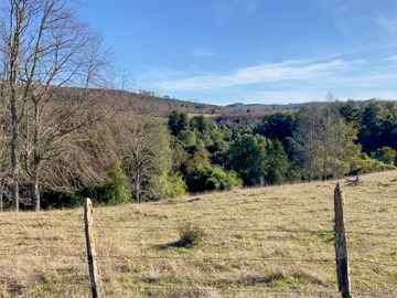 Campo en venta en Fresia - Santa María - 30 hectáreas