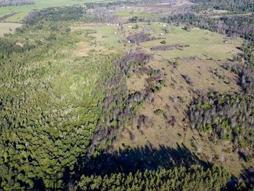 Campo en venta en Fresia - Santa María - 30 hectáreas