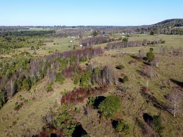 Campo en venta en Fresia - Santa María - 30 hectáreas