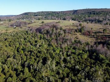 Campo en venta en Fresia - Santa María - 30 hectáreas