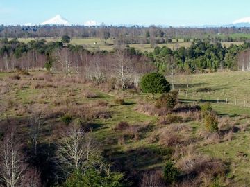 Campo en venta en Fresia - Santa María - 30 hectáreas