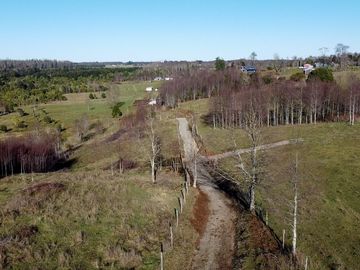 Campo en venta en Fresia - Santa María - 30 hectáreas