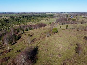 Campo en venta en Fresia - Santa María - 30 hectáreas