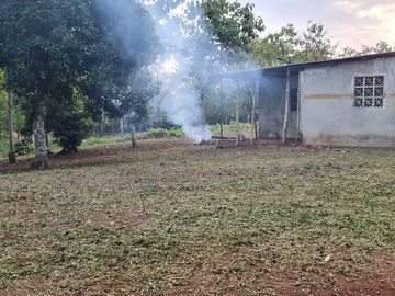 Finca05 Titulada con Tecas - FINANCIADAS 100%  SIN INTERES $500 Quincenal