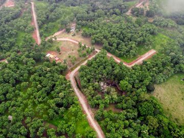 Finca05 Titulada con Tecas - FINANCIADAS 100%  SIN INTERES $500 Quincenal