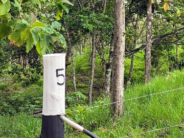 Finca05 Titulada con Tecas - FINANCIADAS 100%  SIN INTERES $500 Quincenal
