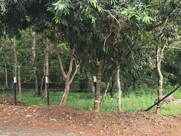 Finca05 Titulada con Tecas - FINANCIADAS 100%  SIN INTERES $500 Quincenal