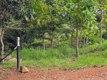 Finca05 Titulada con Tecas - FINANCIADAS 100%  SIN INTERES $500 Quincenal
