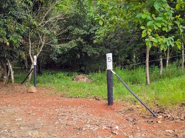 Finca05 Titulada con Tecas - FINANCIADAS 100%  SIN INTERES $500 Quincenal
