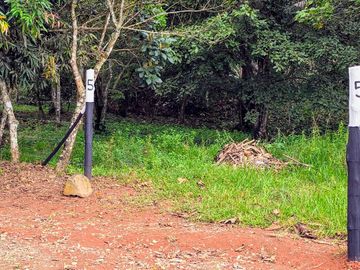 Finca05 Titulada con Tecas - FINANCIADAS 100%  SIN INTERES $500 Quincenal