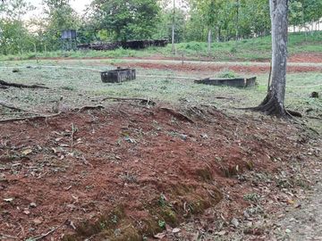 Finca05 Titulada con Tecas - FINANCIADAS 100%  SIN INTERES $500 Quincenal