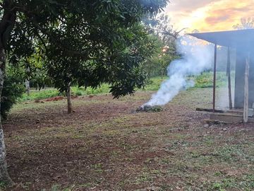 Finca05 Titulada con Tecas - FINANCIADAS 100%  SIN INTERES $500 Quincenal
