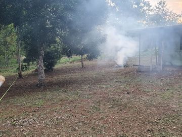 Finca05 Titulada con Tecas - FINANCIADAS 100%  SIN INTERES $500 Quincenal