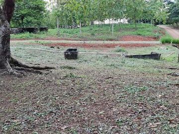 Finca05 Titulada con Tecas - FINANCIADAS 100%  SIN INTERES $500 Quincenal