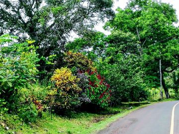 Finca05 Titulada con Tecas - FINANCIADAS 100%  SIN INTERES $500 Quincenal