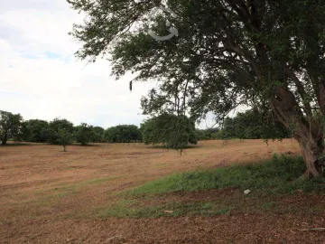 Venta de rancho ubicado en coronel traconis cerca del aeropuerto villahermosa, tabasco.