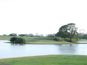 Venta de rancho ubicado en coronel traconis cerca del aeropuerto villahermosa, tabasco.