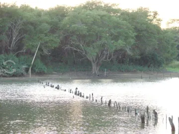 Venta de quinta ubicado en coronel traconis cerca del aeropuerto villahermosa, tabasco.