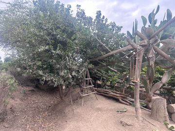 TERRENO DE 0.4137 HECTÁREA EN PUEBLO NUEVO ICA