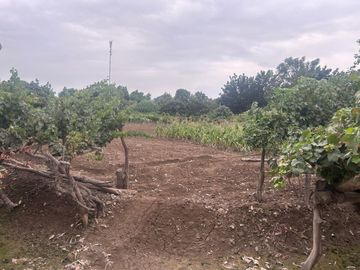 TERRENO DE 0.4137 HECTÁREA EN PUEBLO NUEVO ICA