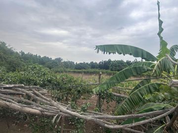 TERRENO DE 0.4137 HECTÁREA EN PUEBLO NUEVO ICA