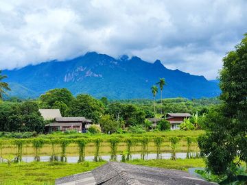 Land for sale in Chiang Dao,on Chotana ( 107 )main road.,  7 rai, Doi Luang view, Chiang Dao